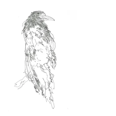 Wild Gestures Toward an Empty Sky