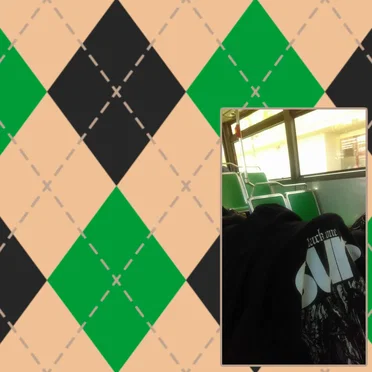 Going to the Vet in Berkeley