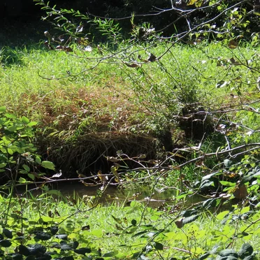 Bothell, WA (09-30-2024)