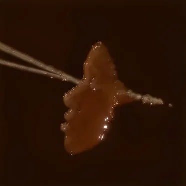 EAT