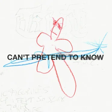 Can't Pretend To Know