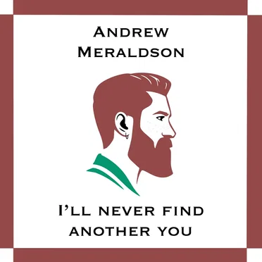 I'll Never Find Another you