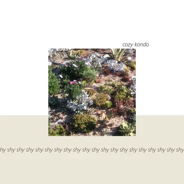 Shy by cozy kondo - album cover