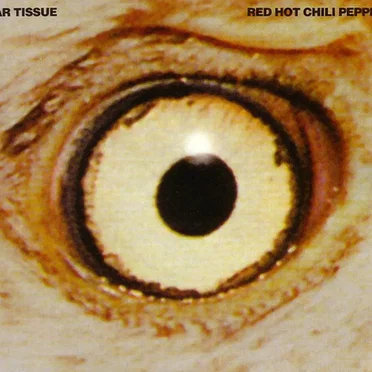 Scar Tissue