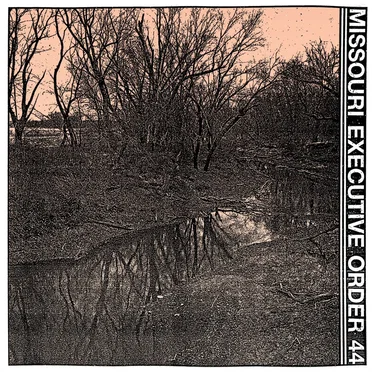 Salt Sermon by Missouri Executive Order 44 - album cover