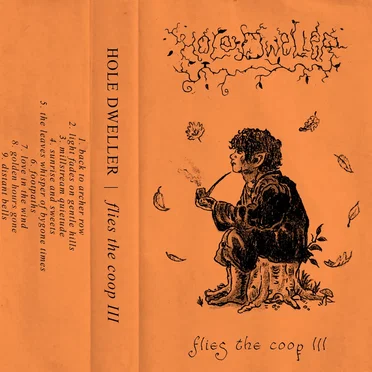 flies the coop III by Hole Dweller - album cover