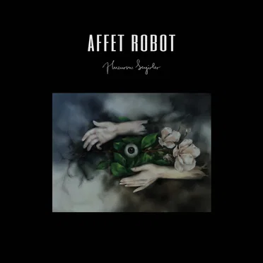 Huzursuz Seyirler by Affet Robot - album cover
