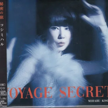 Voyage Secret = 秘密の旅