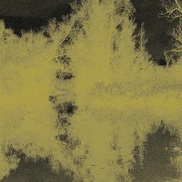 Ever-Present / つねなるもの by Masami Tada - album cover