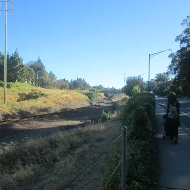 Going to the Optometrist With My Mom in Hercules