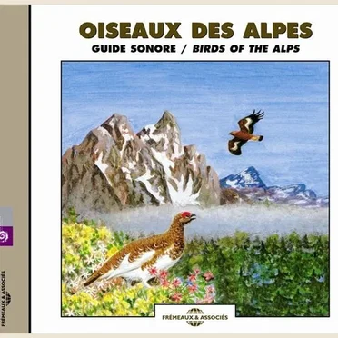 Oiseaux des Alpes / Birds of the Alps