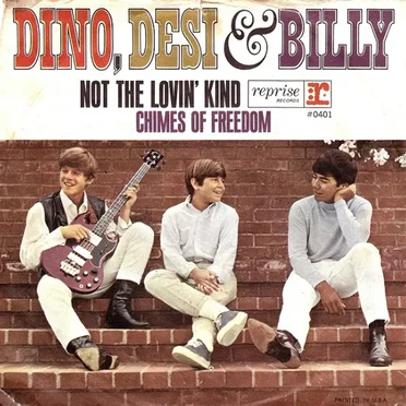 Not The Lovin' Kind