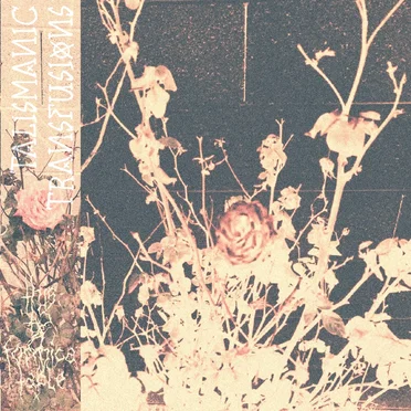 Talismanic Transfusions