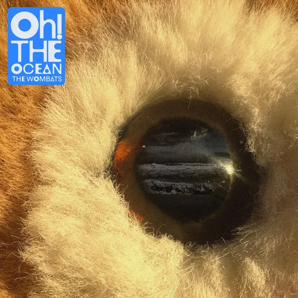 Blood on the Hospital Floor