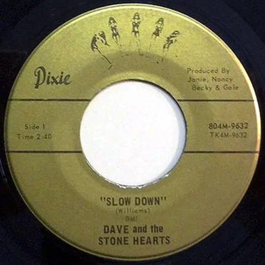 Slow Down by Dave And The Stone Hearts - album cover