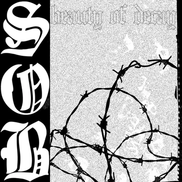 Beauty of Decay by sob - album cover
