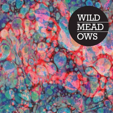 Wild Meadows by Wild Meadows - album cover
