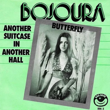 Another Suitcase in Another Hall / Butterfly