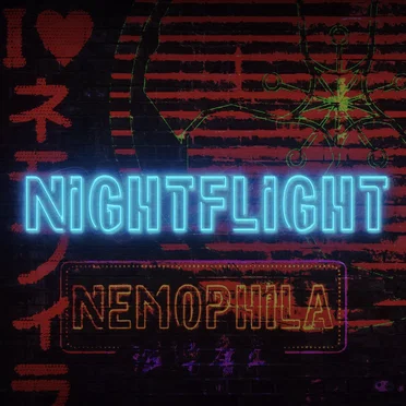Night Flight