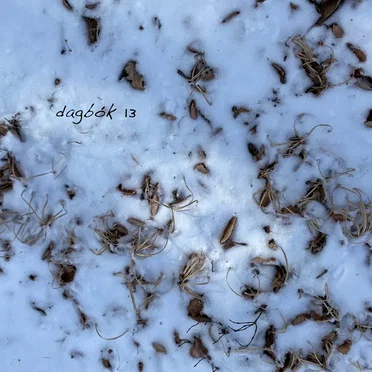 dagbók13