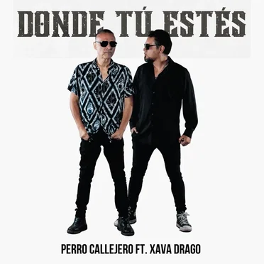 Donde Tú Estés by Perro Callejero - album cover