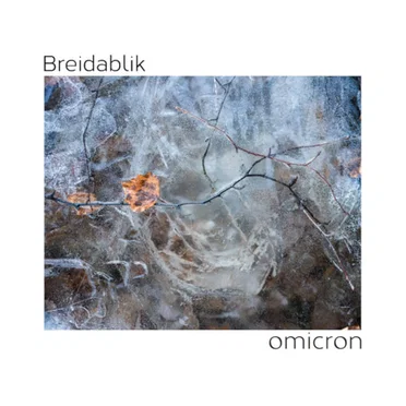Omicron by Breidablik - album cover
