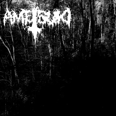 The Forest of Black Blood by Ametsuki - album cover