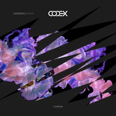 Zakary by Lander B - album cover
