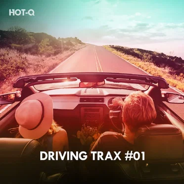 Driving Trax, Vol. 01 by Various Artists - album cover
