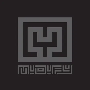 Light the Fire (2011 mix)