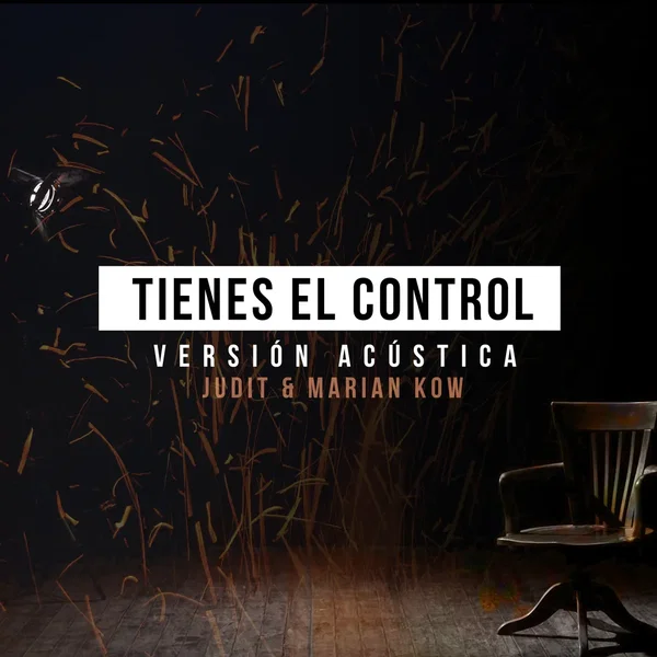 Tienes el control (versión acústica)