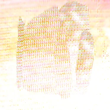 Looking Through a Rose Colored Monitor