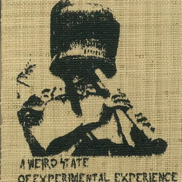 A Weird State of Experimental Experience by Various Artists - album cover