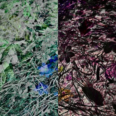 Live at Kafé Hærverk in Oslo 2025.04