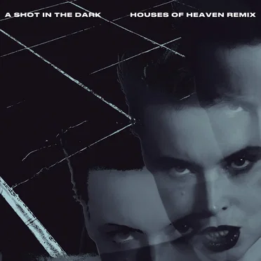 A Shot in the Dark (Houses of Heaven remix)