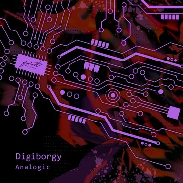 Analogic by DIGIBORGY - album cover