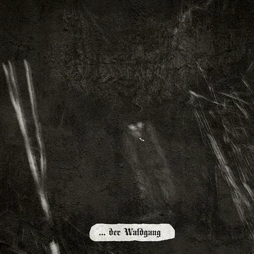 ...der Waldgang by Hasswald - album cover