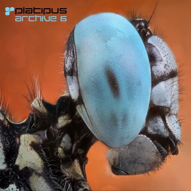 Platipus Archive 6 by Various Artists - album cover