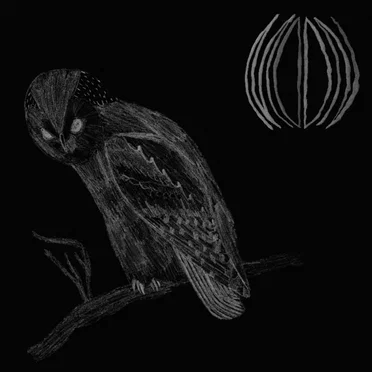 A New Fiery World Emerges by M[[O]]ON - album cover