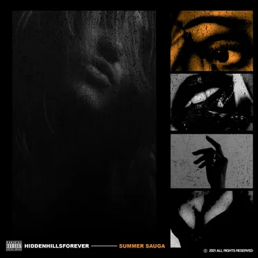 Summer Sauga by Hiddenhillsforever - album cover