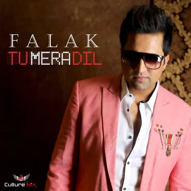 Tu Mera Dil by Falak - album cover