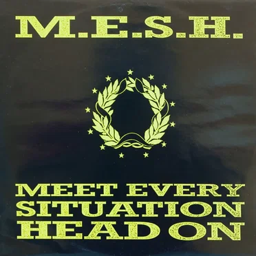 Meet Every Situation Head On by M.E.S.H. - album cover