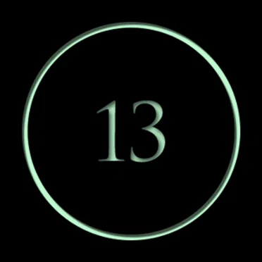 13