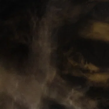 Fungi From Yuggoth