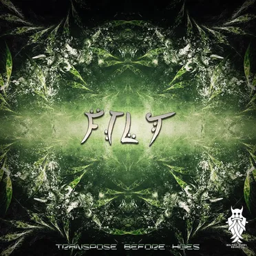 Transpose before Hoes by Filt - album cover