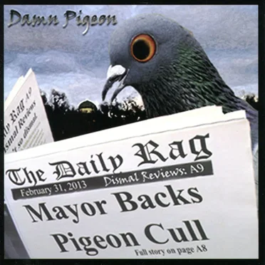 Damn Pigeon