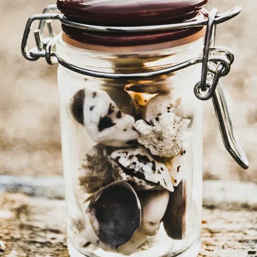The Idyllic Innocence of Childhood That Lonesome Memories Coat With Mahogany Soot