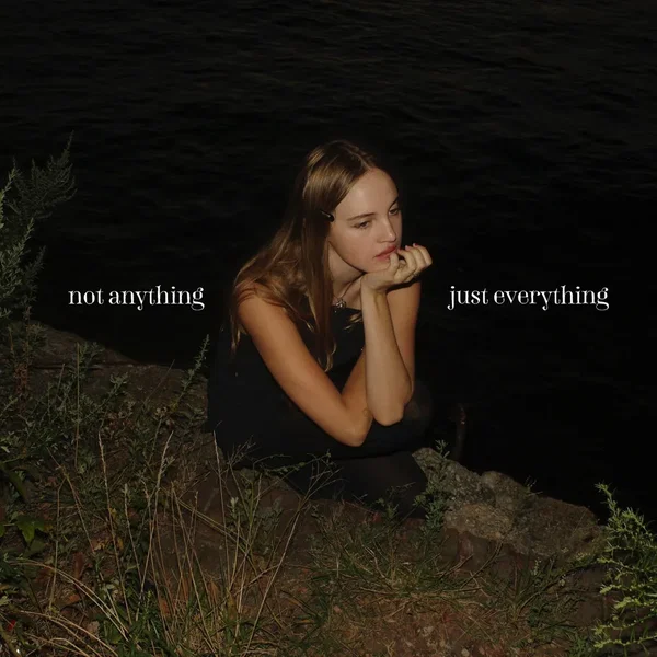 Not Anything, Just Everything