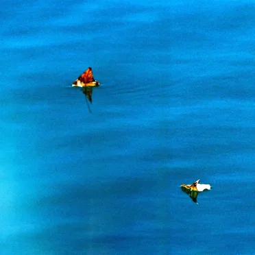 Terre et Mer