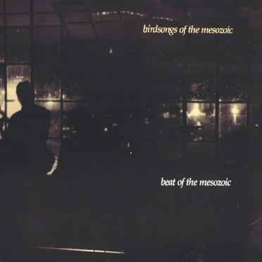Beat Of The Mesozoic by Birdsongs of the Mesozoic - album cover